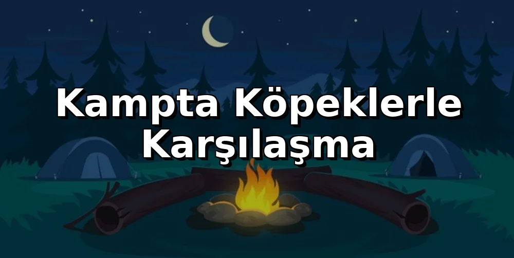 Kampta Köpeklerle Karşılaşma: Ne Yapmalı, Ne Yapmamalı?