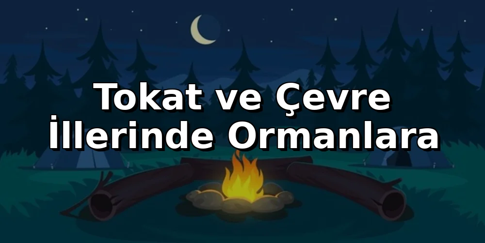 Tokat ve Çevre İllerinde Ormanlara Giriş Yasaklandı: Cezai Yaptırımlar Uygulanacak