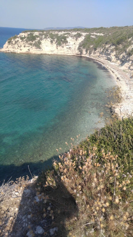 Ardıç Sahil Alanı - Fotoğraf 5
