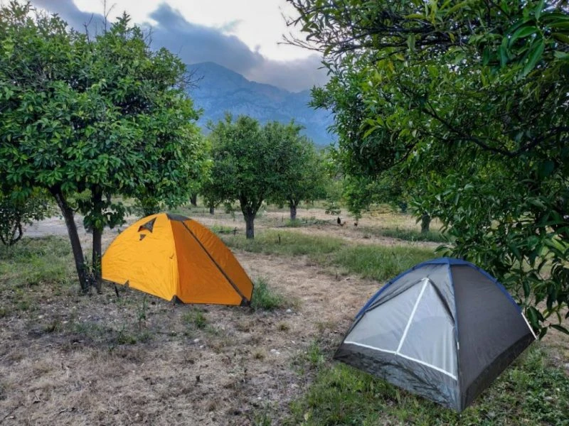 Arif'in Yeri Demre Camping - Fotoğraf 2