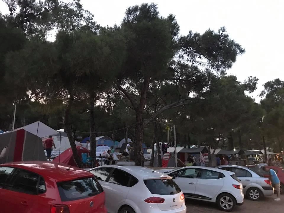 Ayvalık Çamlık Kamping - Fotoğraf 4