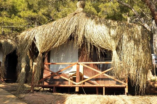 Ayvalık Camping Saklı Cennet - Fotoğraf 3