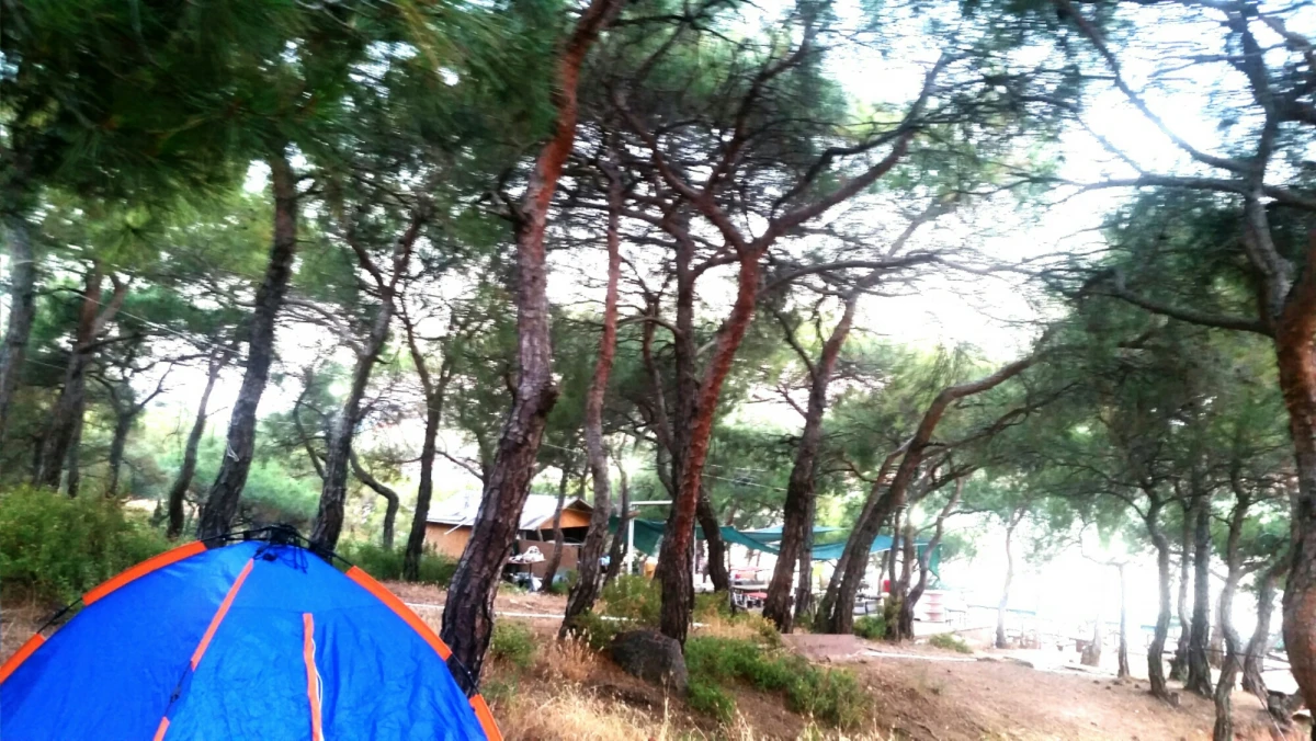Ayvalık Camping Saklı Cennet - Fotoğraf 4