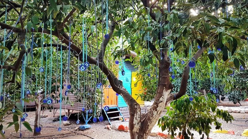 Olympos Alaturka Pansiyon - Fotoğraf 2
