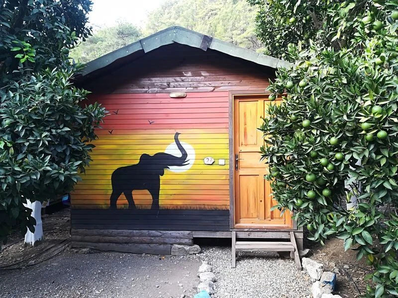 Olympos Alaturka Pansiyon - Fotoğraf 3