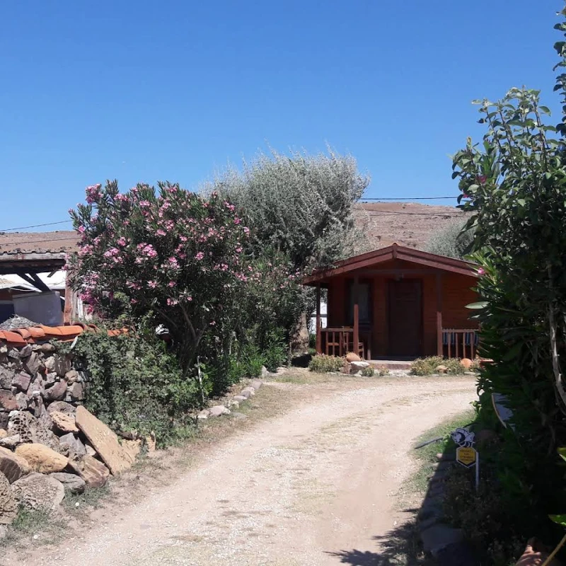 Şen Camping görseli