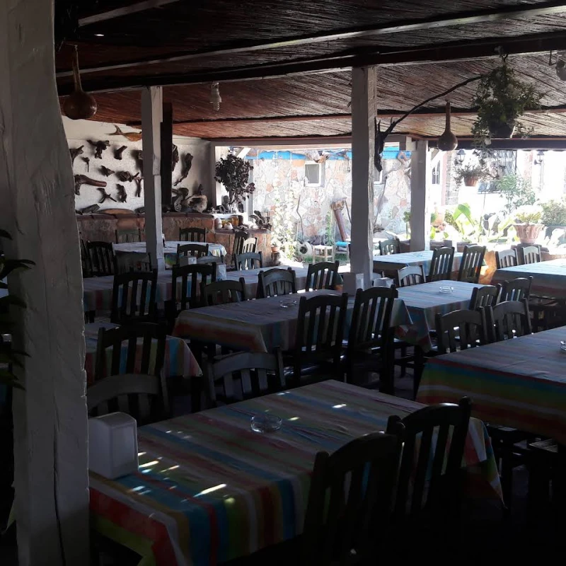 Şen Camping - Fotoğraf 2