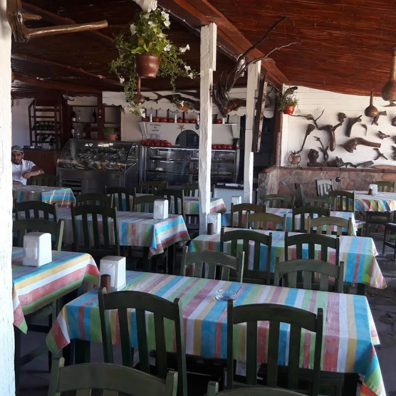 Şen Camping - Fotoğraf 3