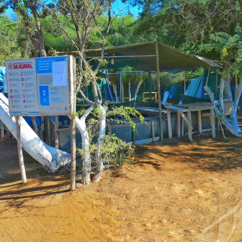 Toprak Camping - Fotoğraf 2