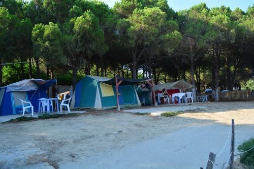 Zargana Tatil Köyü - Fotoğraf 5