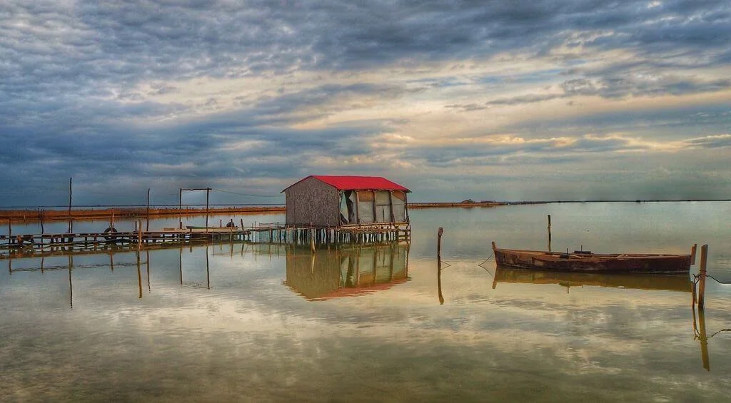 Yumurtalık Lagünü Milli Parkı - Fotoğraf 4