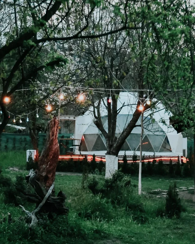 Hypnos Sapanca Glamping - Fotoğraf 3