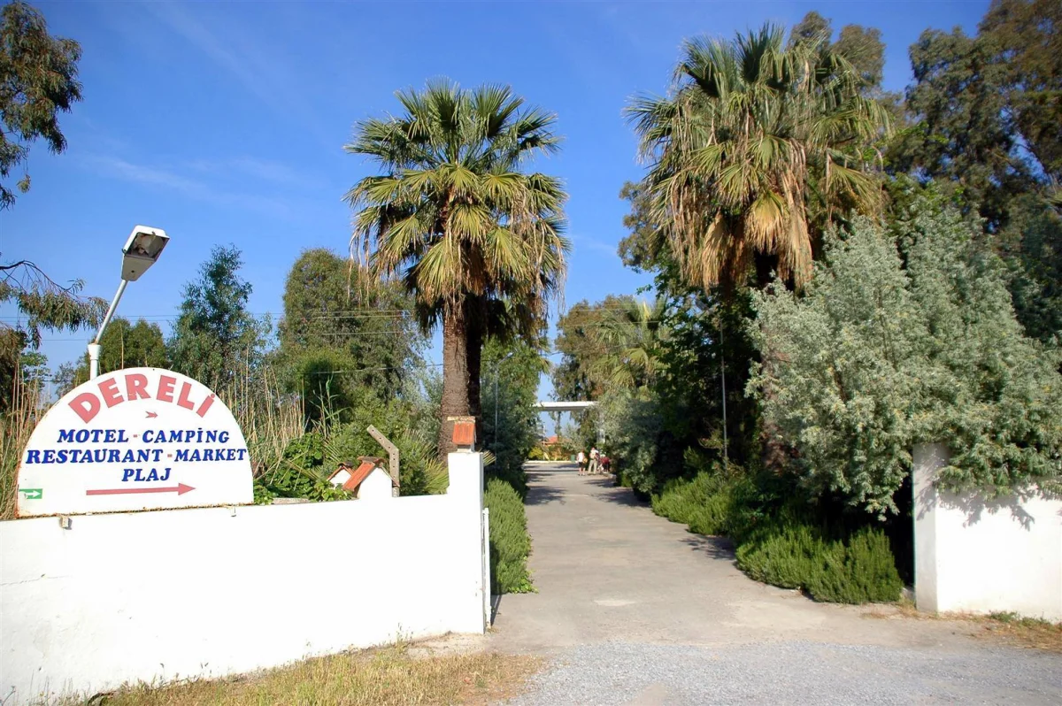 Flamingo Beach Kamping - Fotoğraf 3