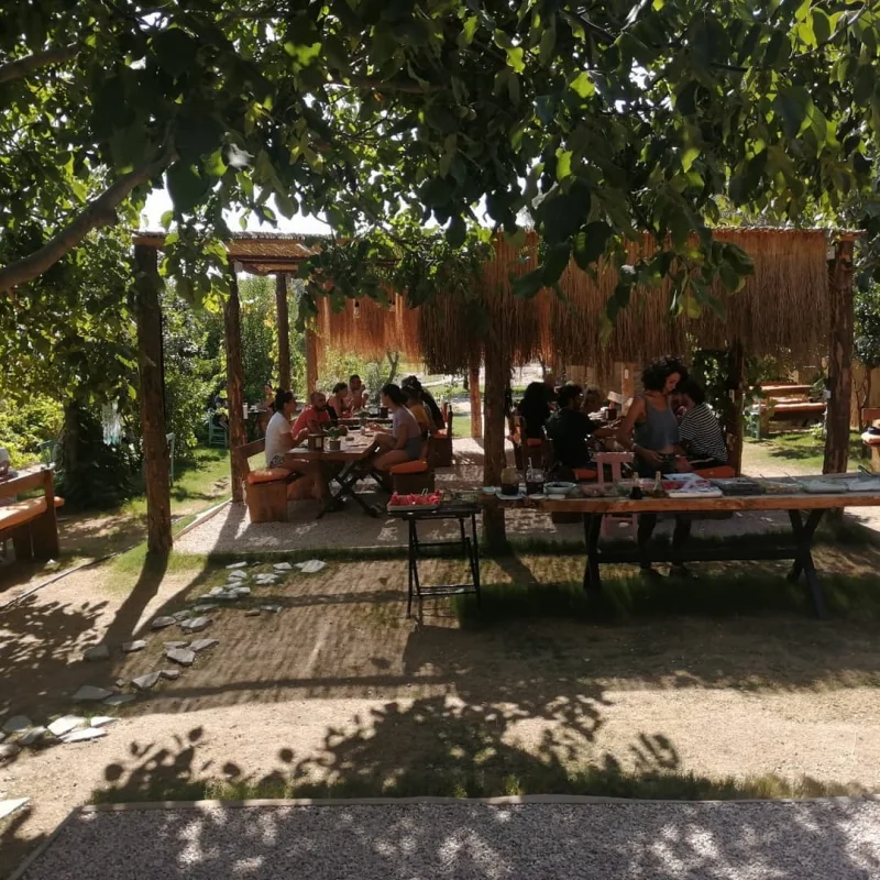 Flamingo Beach Kamping - Fotoğraf 5