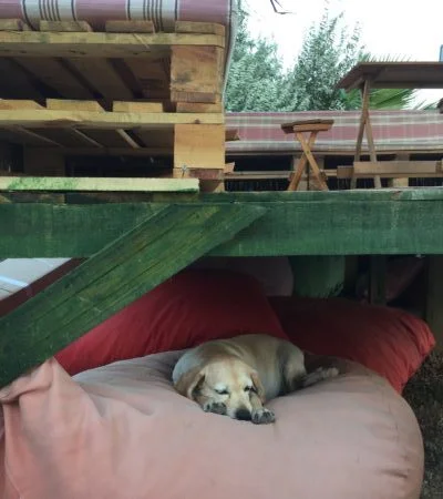 Bozcaada Camping - Fotoğraf 4