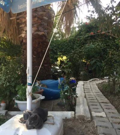 Bozcaada Camping - Fotoğraf 5