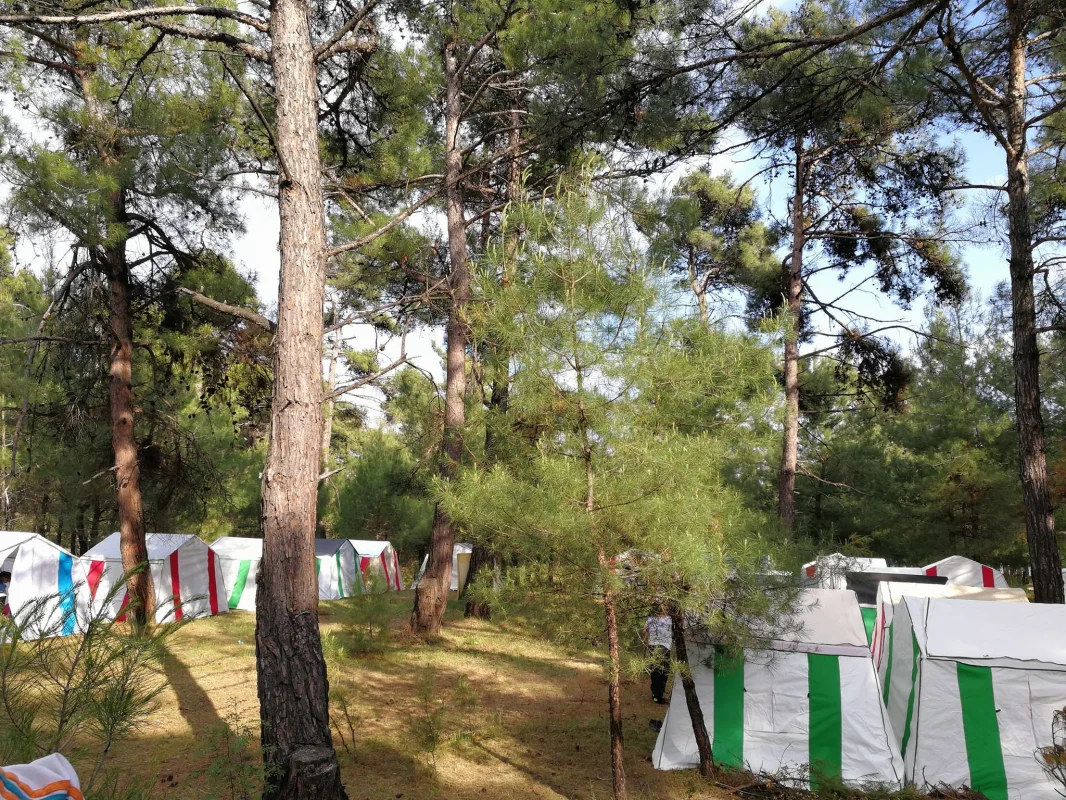 Gökçetepe Tabiat Parkı Kamp Alanı - Fotoğraf 2
