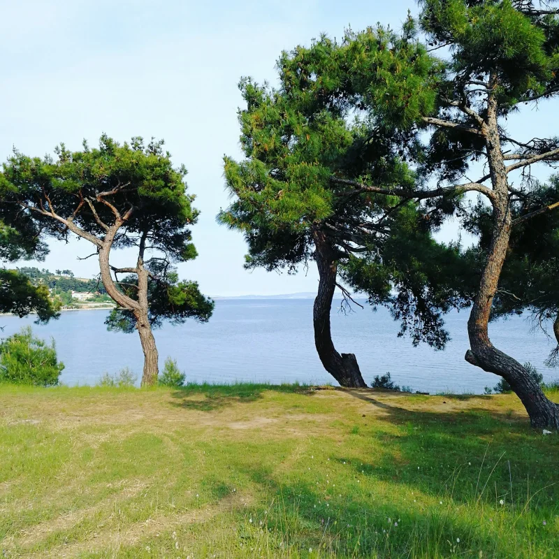 Gökçetepe Tabiat Parkı Kamp Alanı - Fotoğraf 4