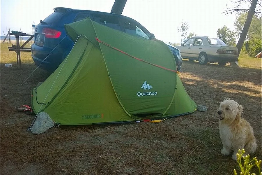 Martı Camping & Restaurant - Fotoğraf 3