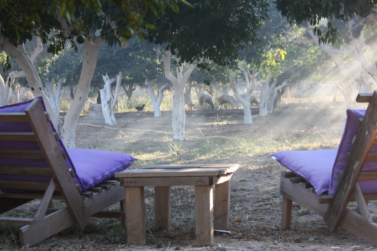 bodrum-ecofarm-camping-hostel Fotoğrafı