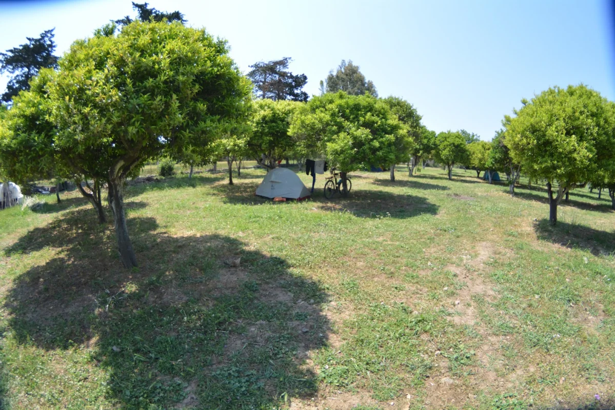 bodrum-ecofarm-camping-hostel Fotoğrafı