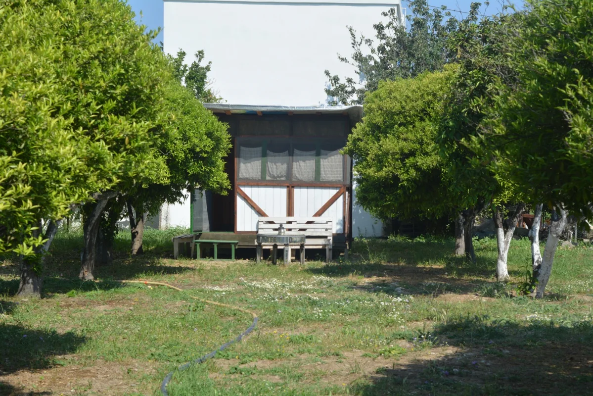 Bodrum Ecofarm Camping & Hostel - Fotoğraf 4