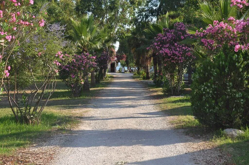 Osay Camping - Fotoğraf 2