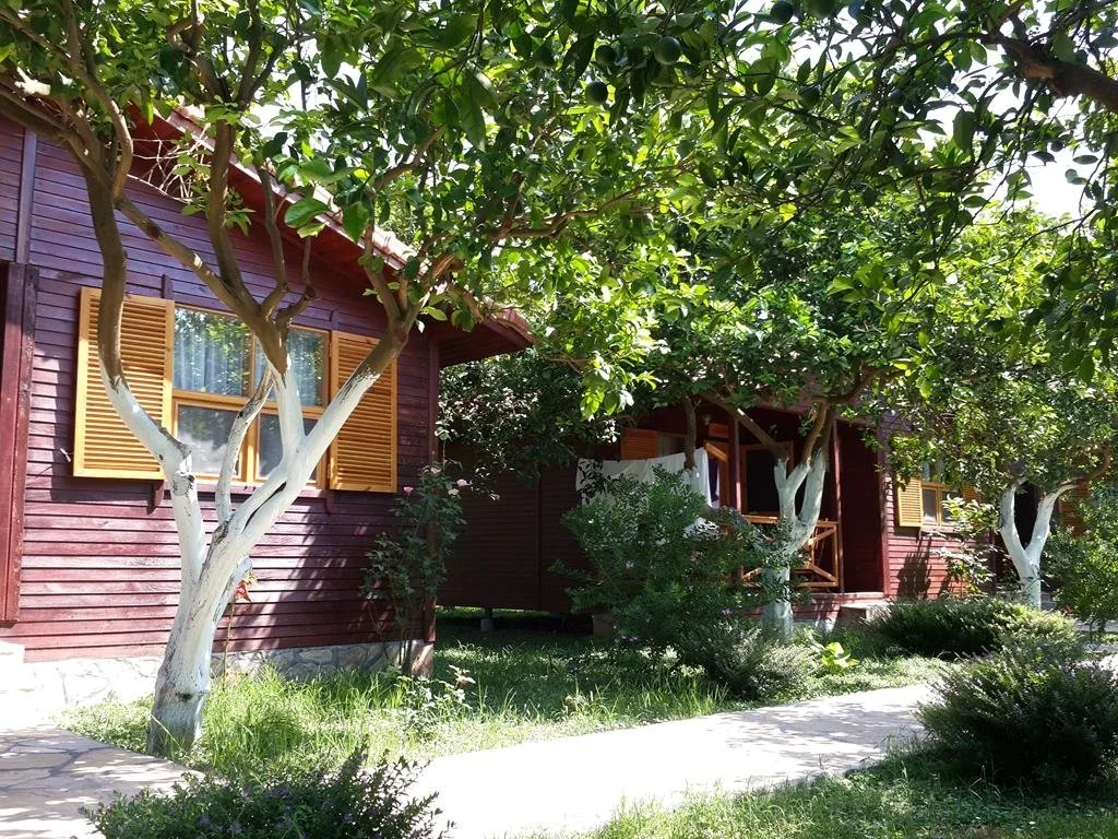 mercan-bungalow Fotoğrafı
