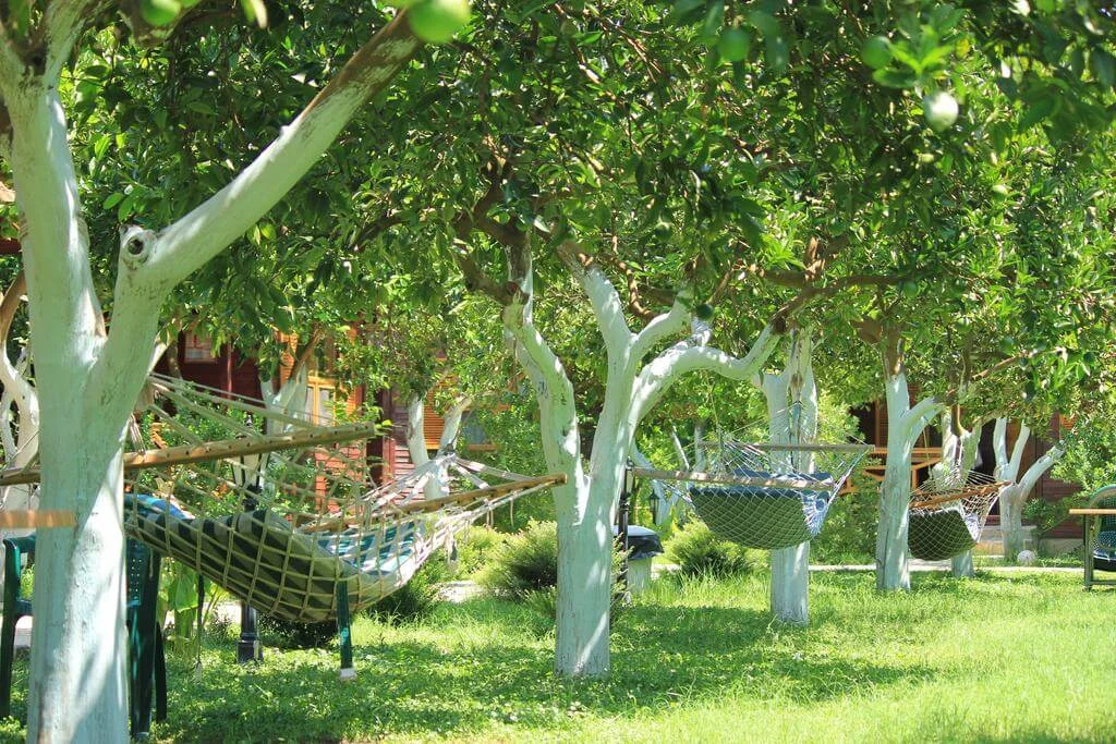 Mercan Bungalow - Fotoğraf 4