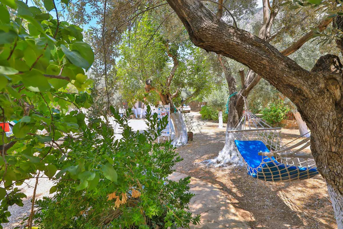 Kaş Olympos Mocamp - Fotoğraf 2