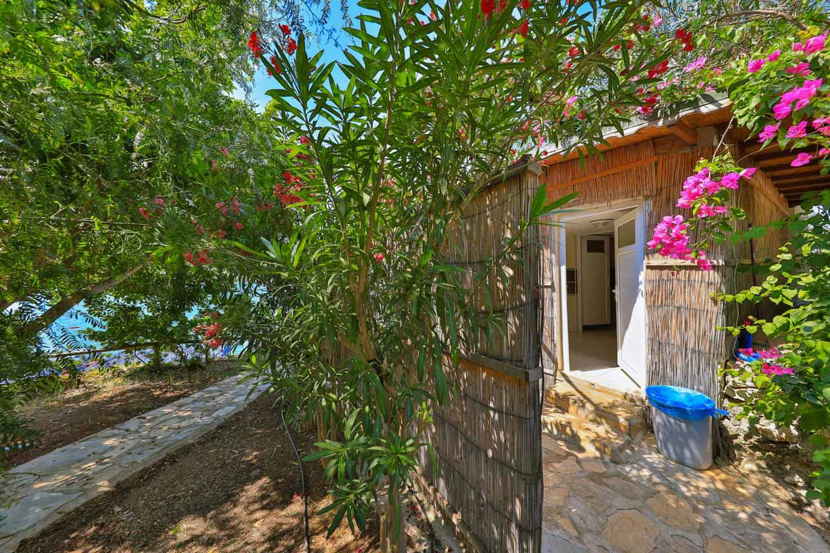 Kaş Olympos Mocamp - Fotoğraf 4