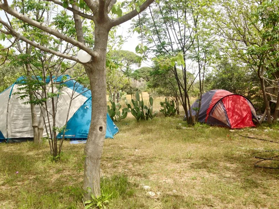 Elif Bade Çadır Camping - Fotoğraf 2