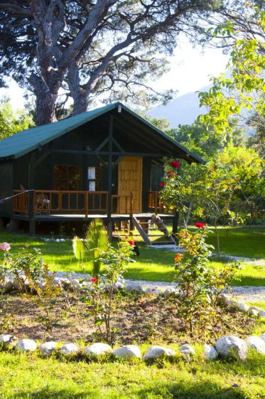 Etenna Bungalow Hotel - Fotoğraf 2