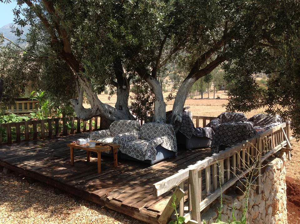 kalkan-camping Fotoğrafı