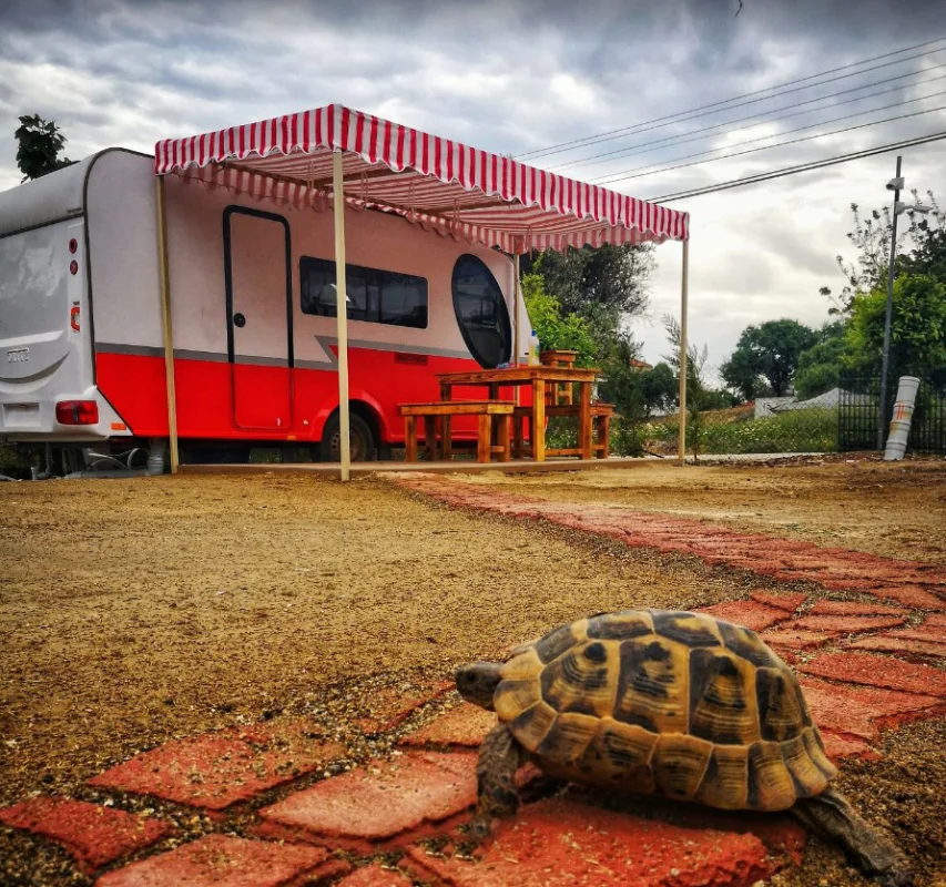 pingala-camping-ve-glamping Fotoğrafı