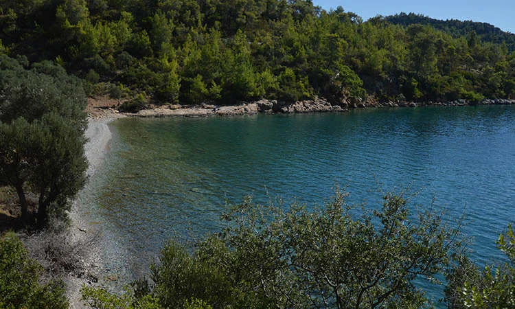 Azmakbasi Camping - Fotoğraf 2