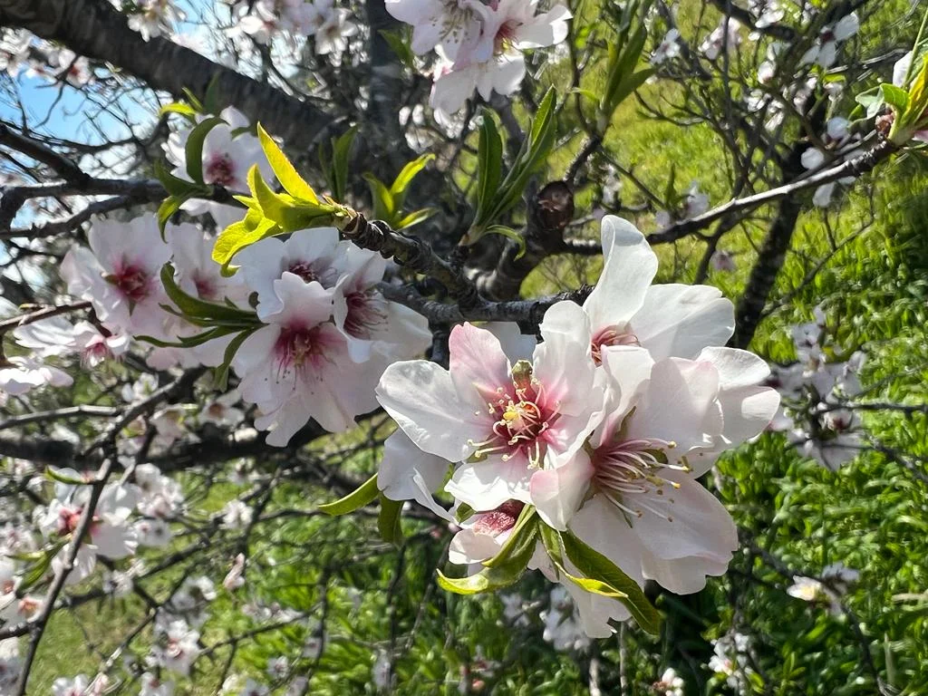 Denizkent Mocamp - Fotoğraf 5