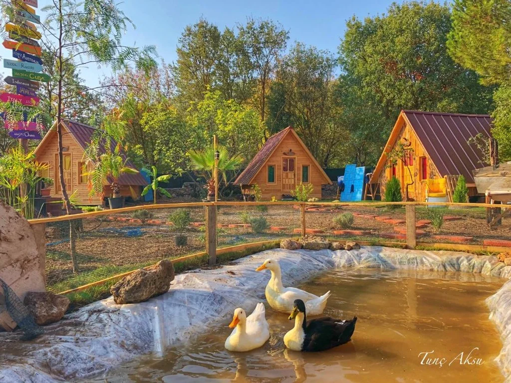 Pusula Bungalow - Fotoğraf 4