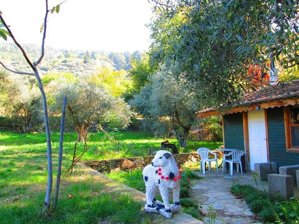 kucuk-ciftlik-bungalow-evleri  bahçe görseli