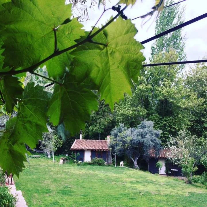Kucuk Ciftlik Bungalow Evleri - Fotoğraf 3