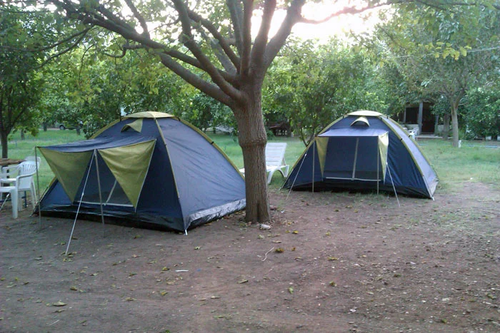 İki çadır, ağaç, kamp alanı
