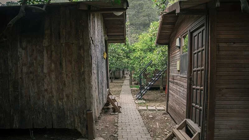 Bayrams Tree Houses - Fotoğraf 4