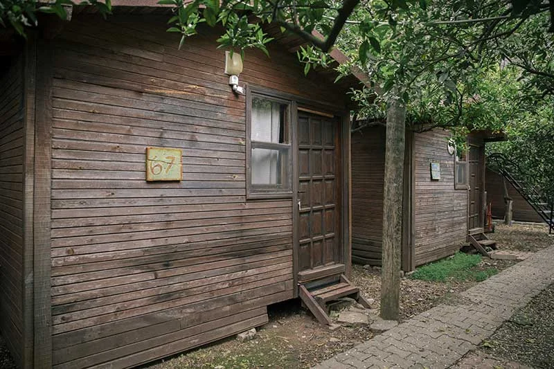Bayrams Tree Houses - Fotoğraf 5