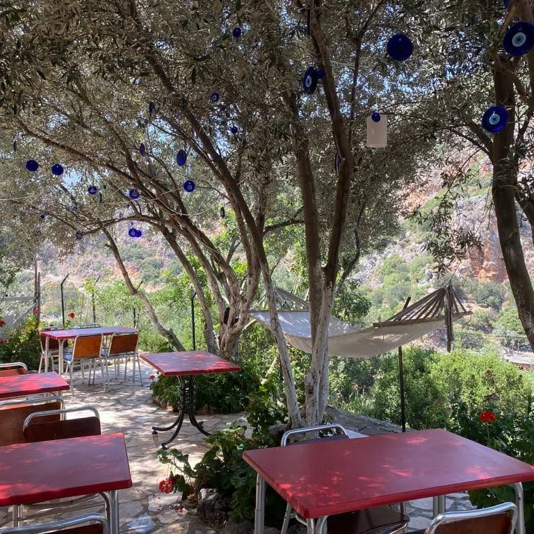 Ata Bungalow Evleri Kaş - Fotoğraf 3