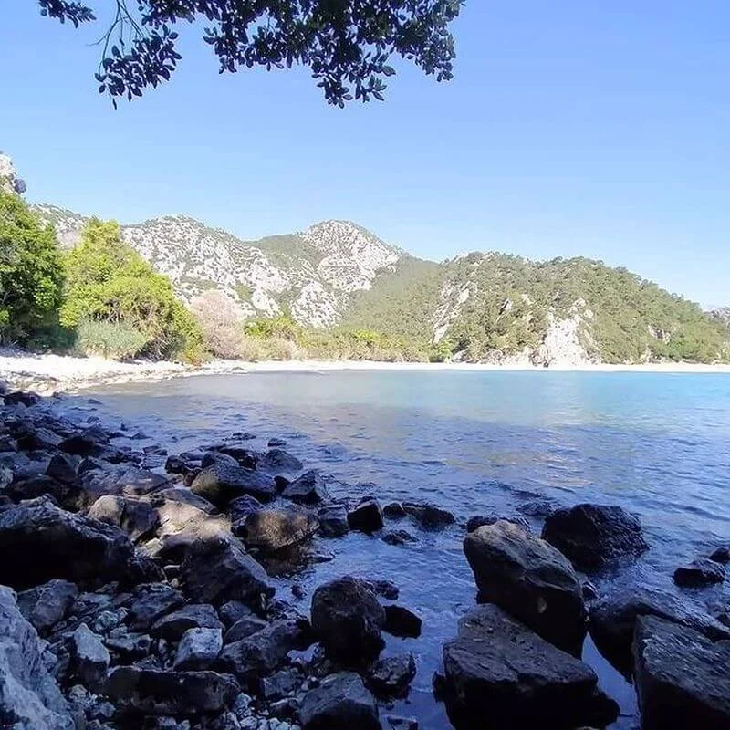 Olympos Lila Pansiyon - Fotoğraf 3