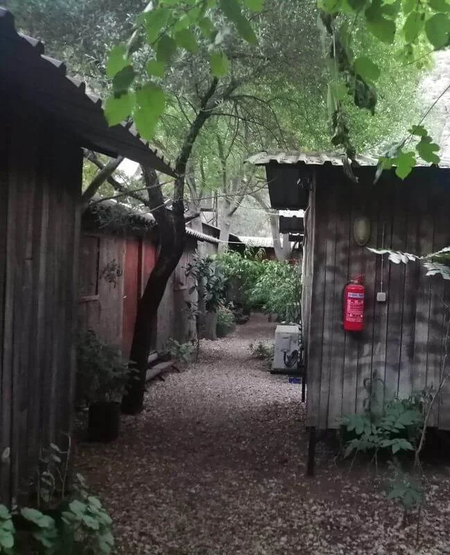 Olympos Lila Pansiyon - Fotoğraf 5