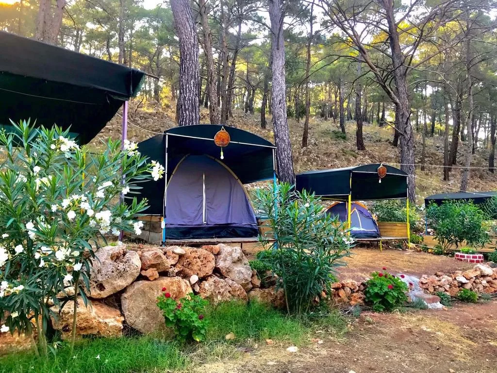 Beş Adalar Camping - Fotoğraf 3