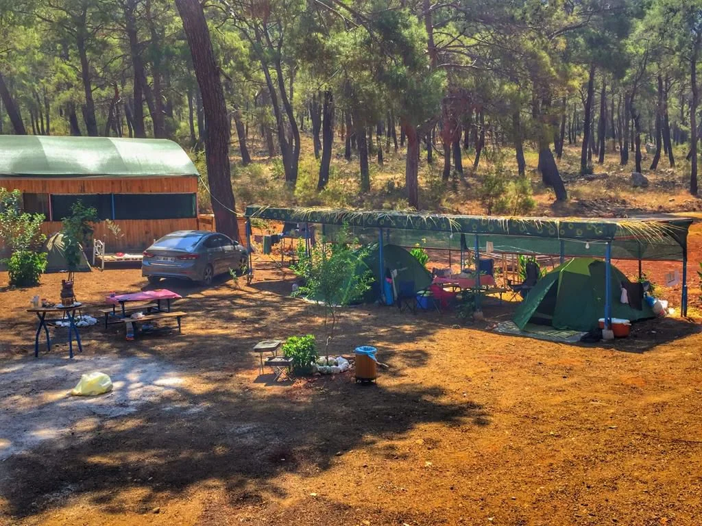 Beş Adalar Camping - Fotoğraf 4