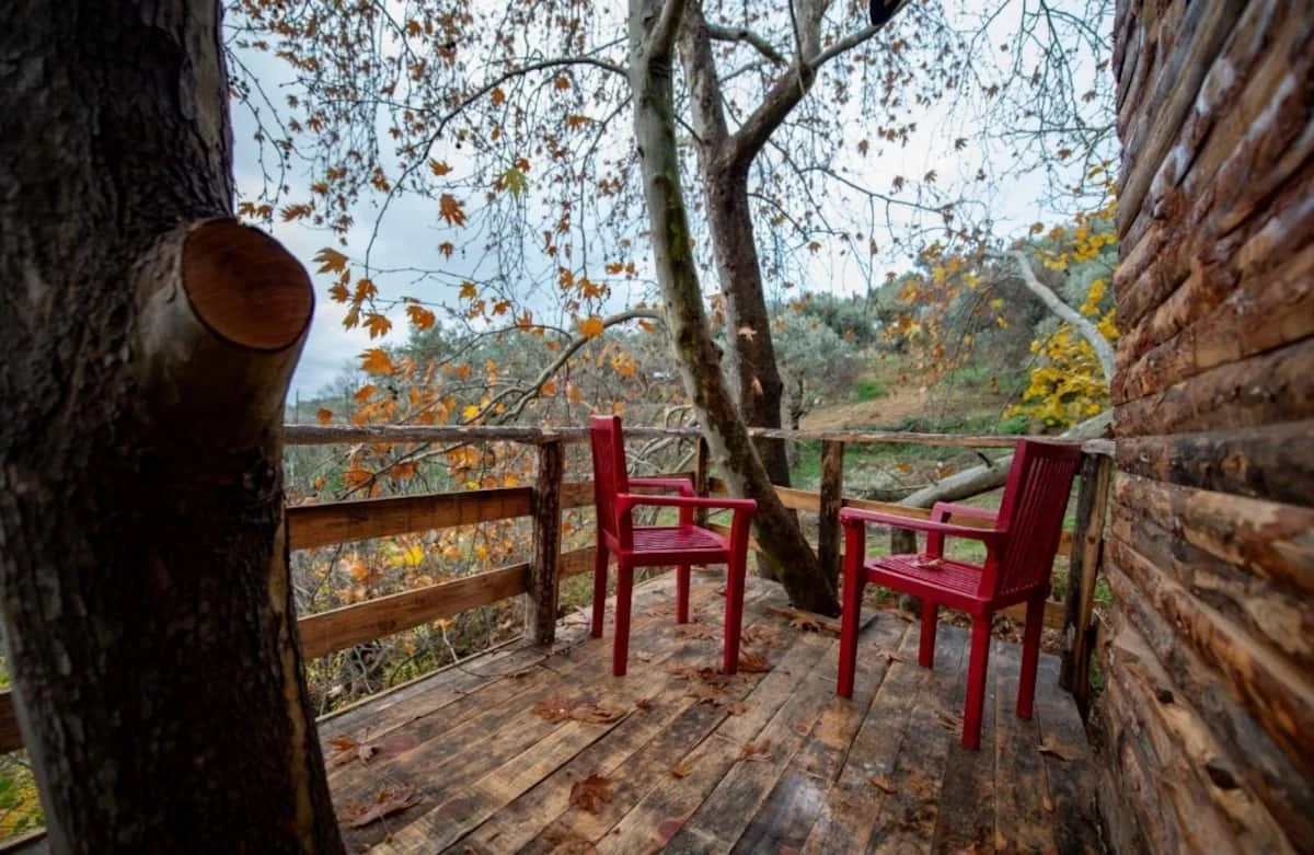 Ağaç Ev İzmir - Fotoğraf 2