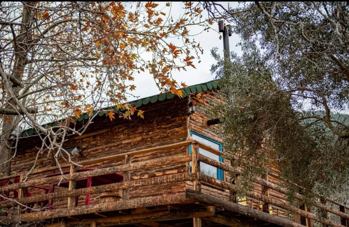 Ağaç Ev İzmir - Fotoğraf 4